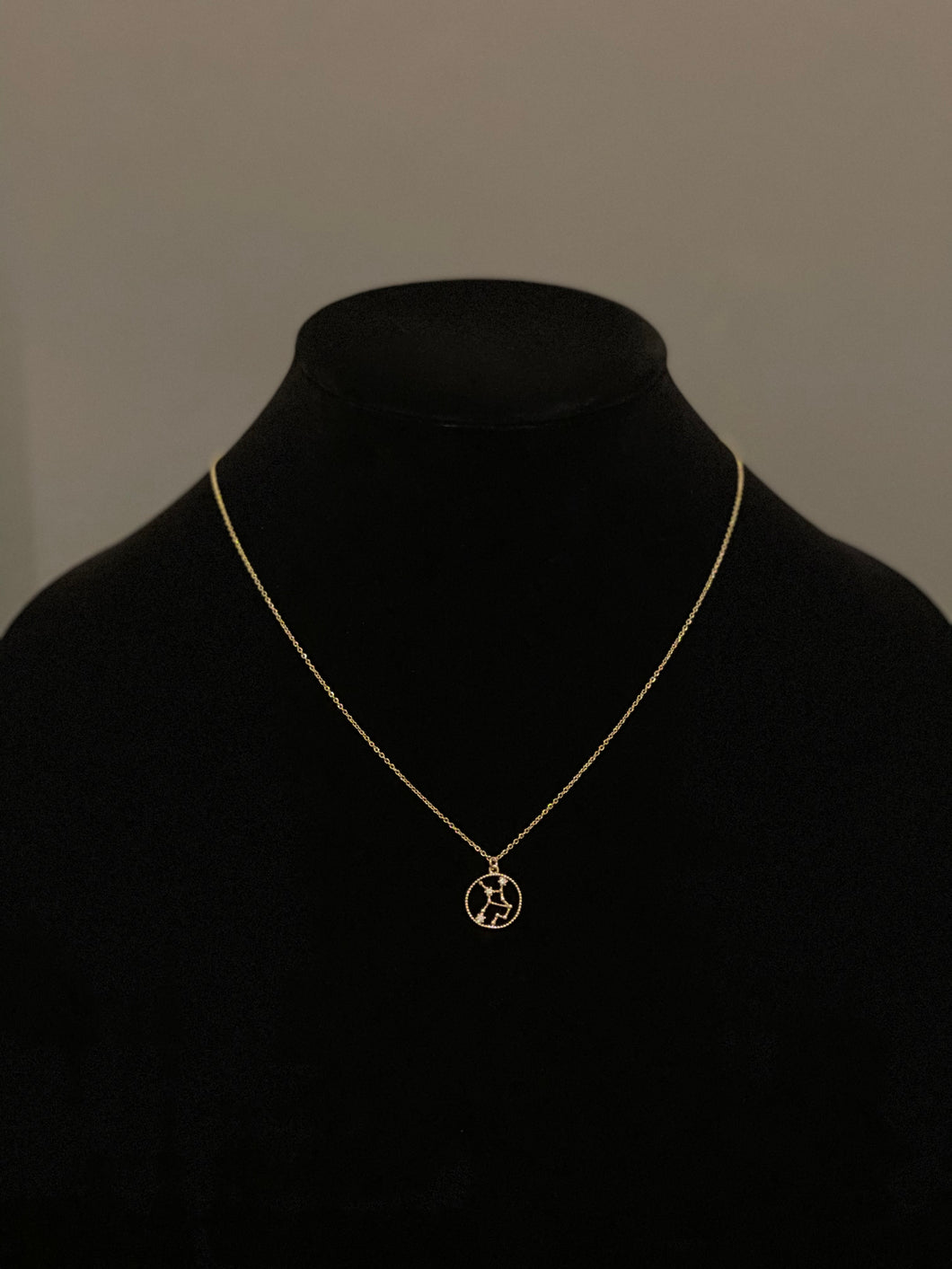 Aquarius Crystal Gold Dipped Necklace